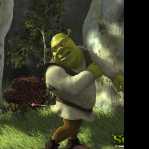 Tapeta shreksip