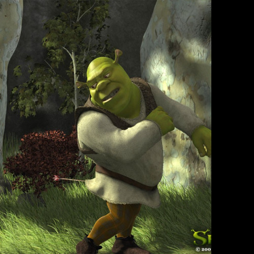 Tapeta shreksip