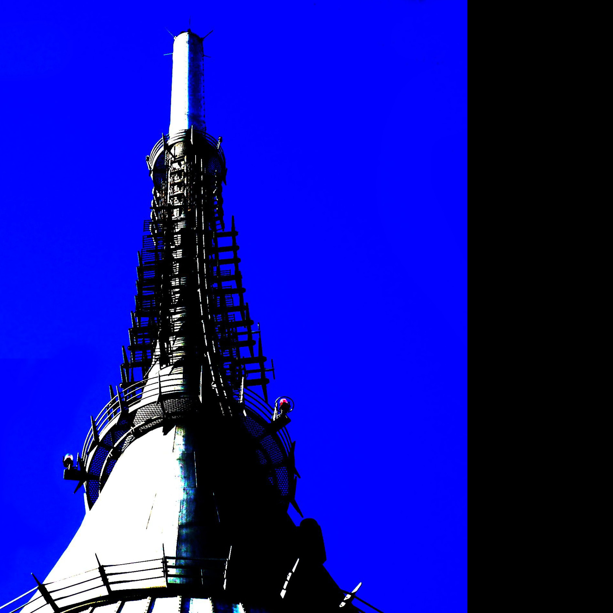 Tapeta silueta_jested