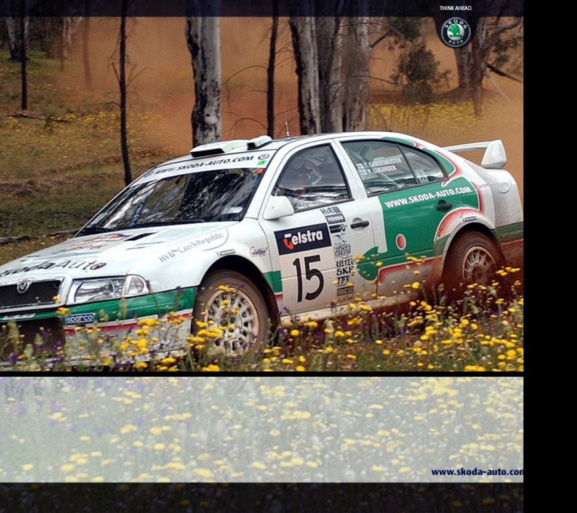 Tapeta skodamotorsport3