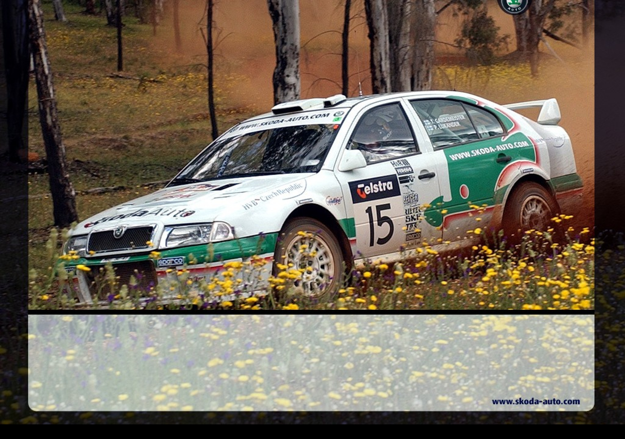 Tapeta skodamotorsport3