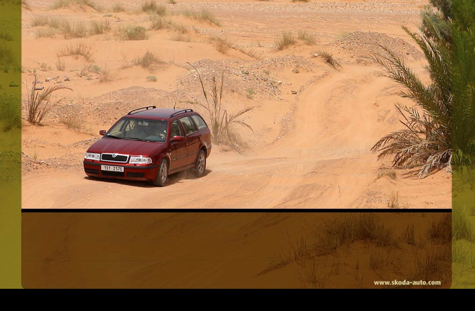 Tapeta skodaoctavia8