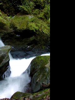 Tapeta slowshutterspeeds