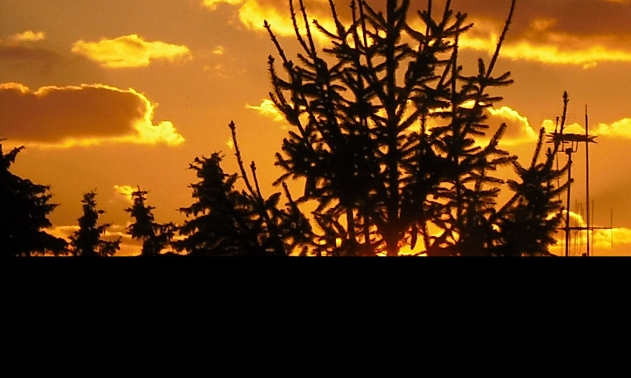 Tapeta smrk_a_sunce