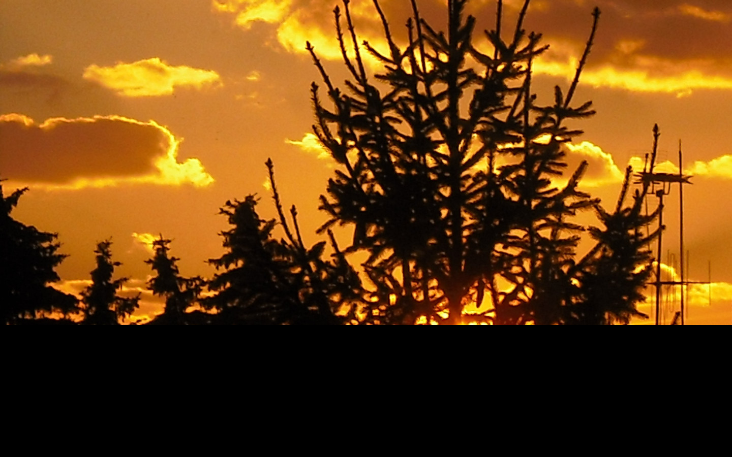 Tapeta smrk_a_sunce