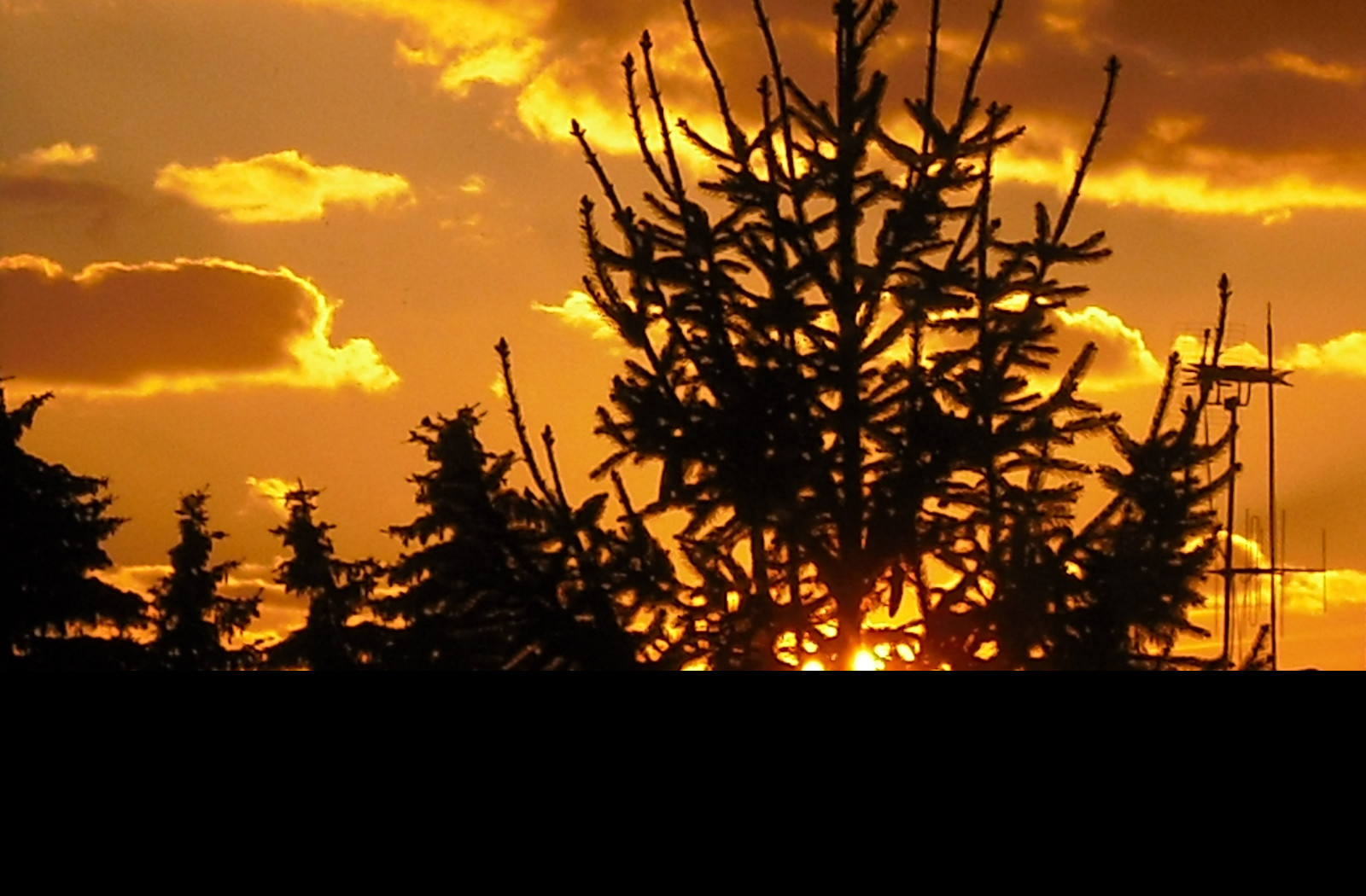 Tapeta smrk_a_sunce