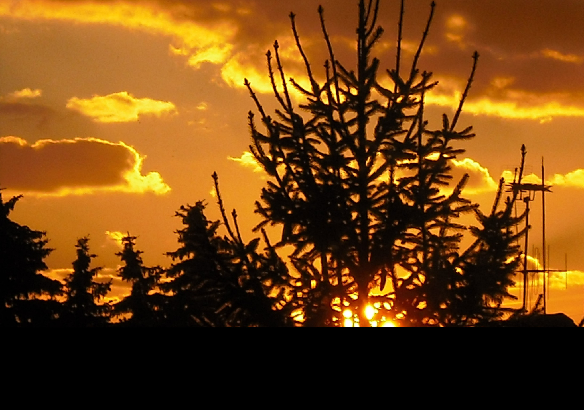 Tapeta smrk_a_sunce
