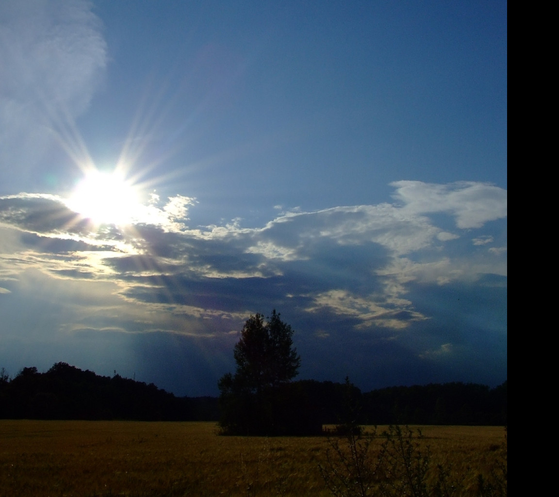 Tapeta sonne