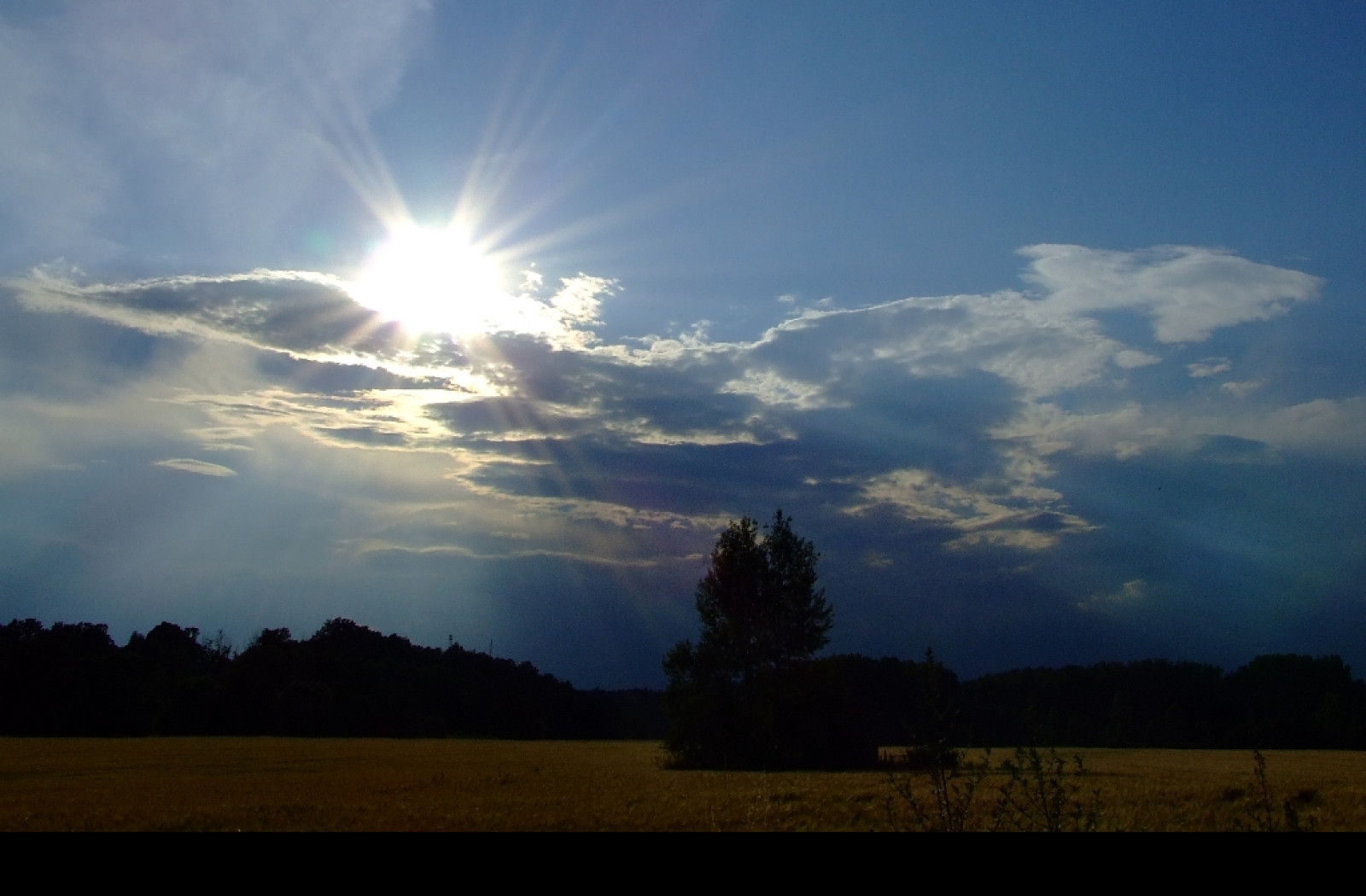 Tapeta sonne