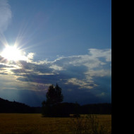 Tapeta sonne