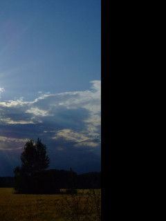 Tapeta sonne
