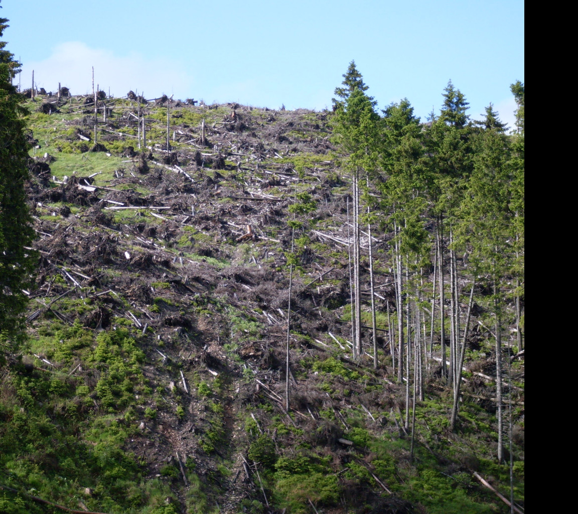 Tapeta spaleny_mlyn_krkonose