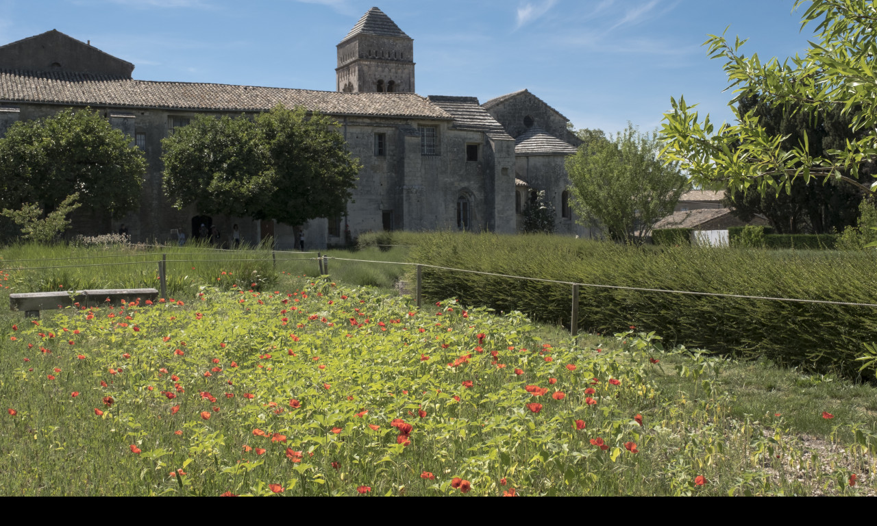 Tapeta st__remy_de_provence