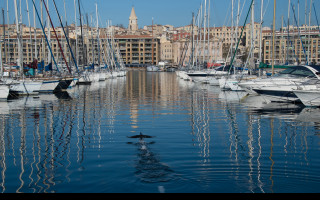 Tapeta stary_pristav__marseille