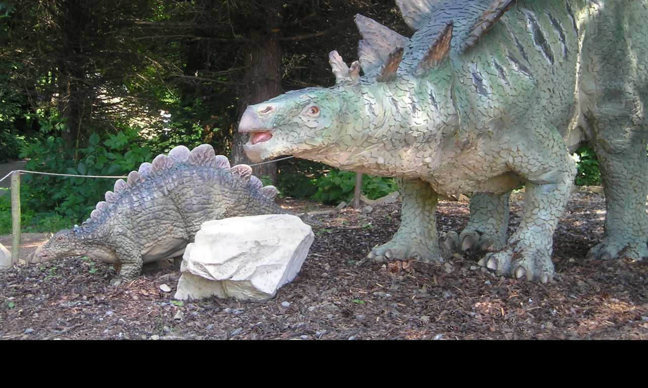 Tapeta stegosaurus