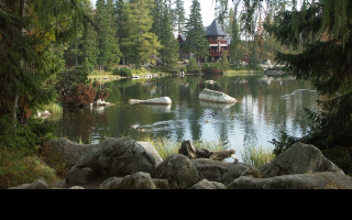 Tapeta strbske_pleso