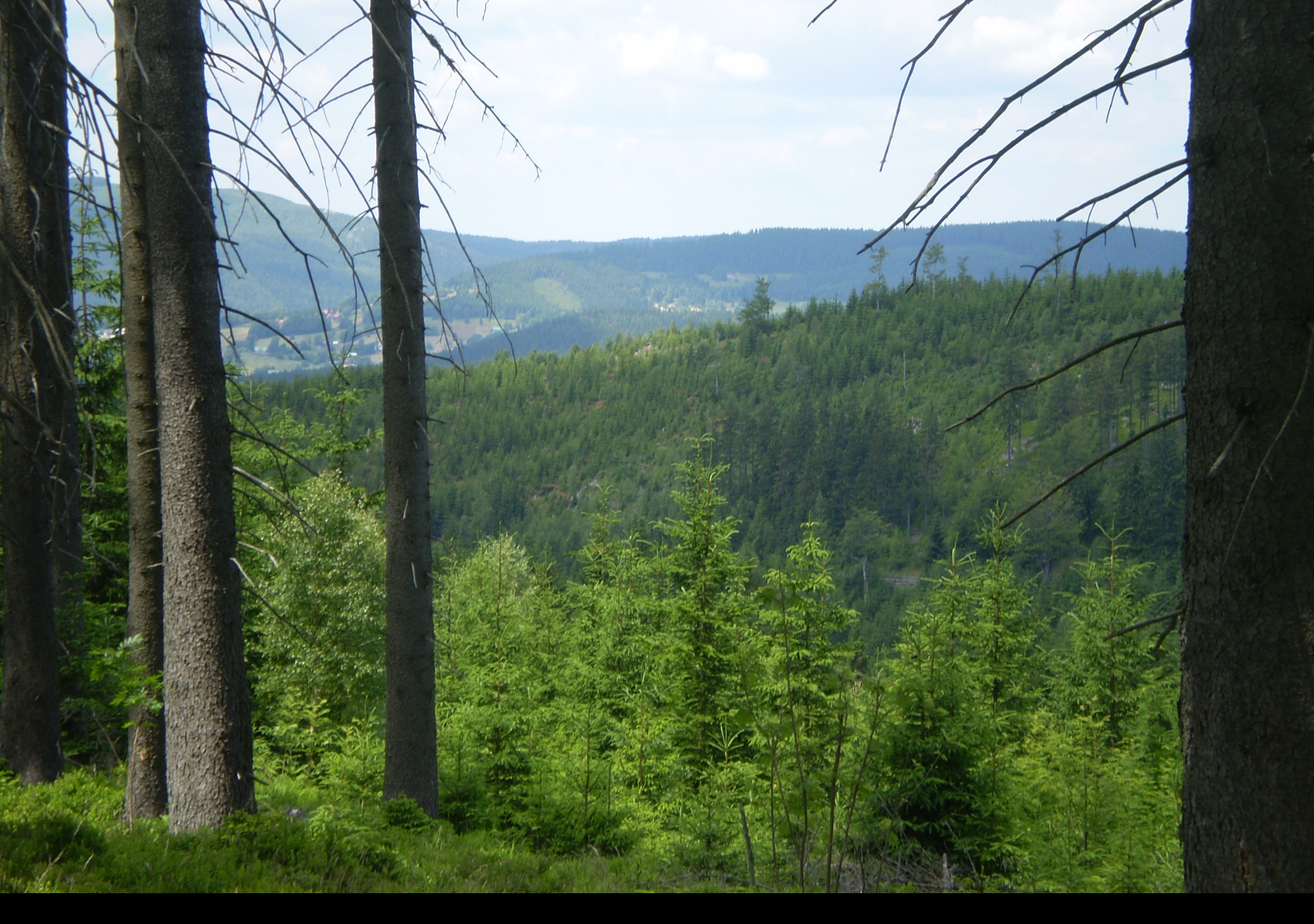 Tapeta stredni_krkonose