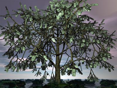 Tapeta: strom na peníze