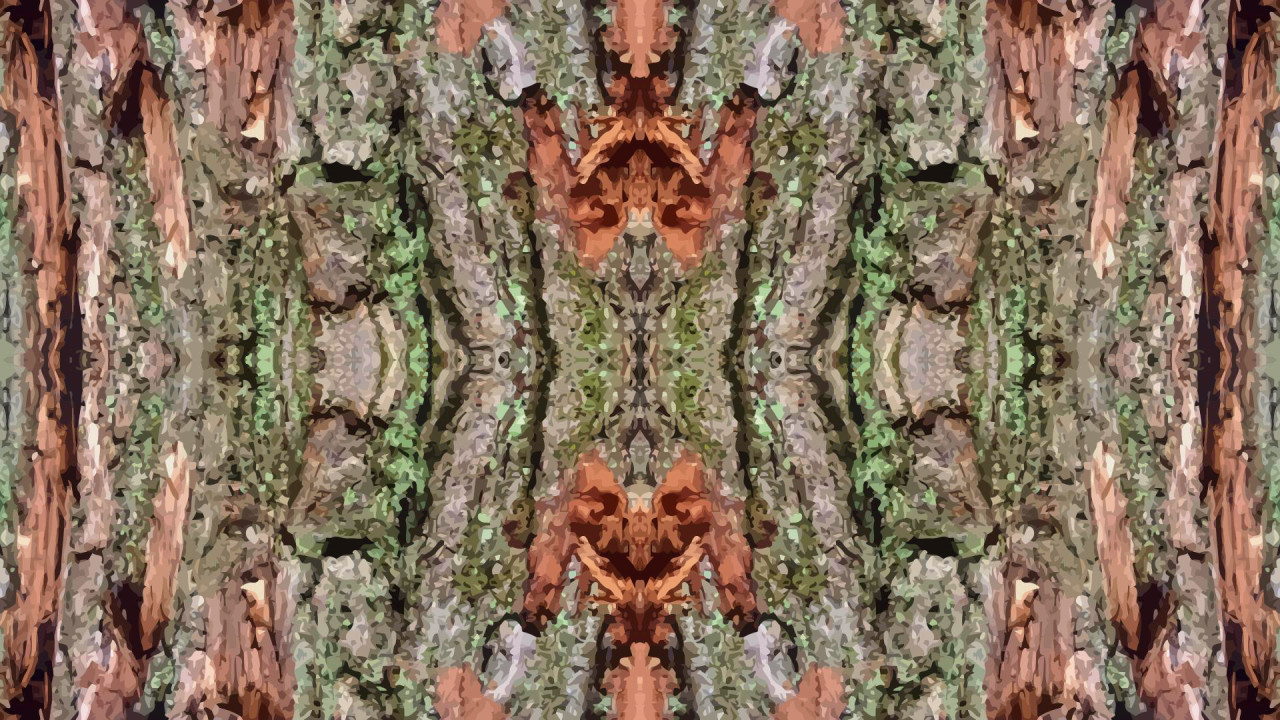 Tapeta strom_symmetry_vector