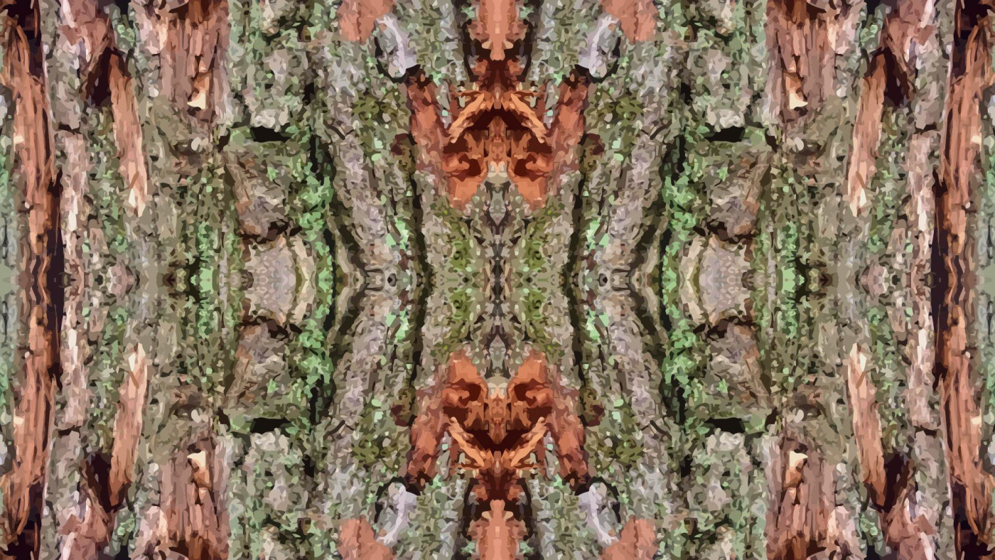 Tapeta strom_symmetry_vector