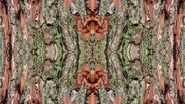 Tapeta strom_symmetry_vector