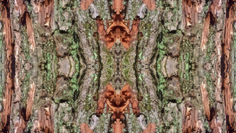 Tapeta strom_symmetry_vector