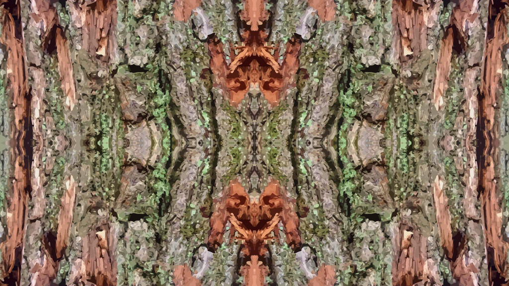 Tapeta strom_symmetry_vector
