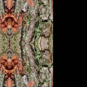 Tapeta strom_symmetry_vector