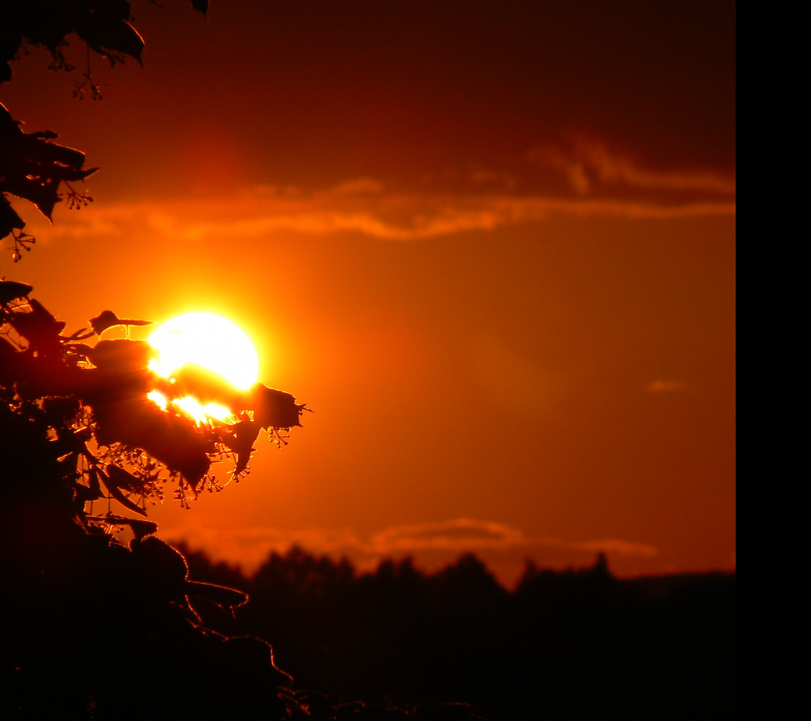 Tapeta sunfall_by_viscy