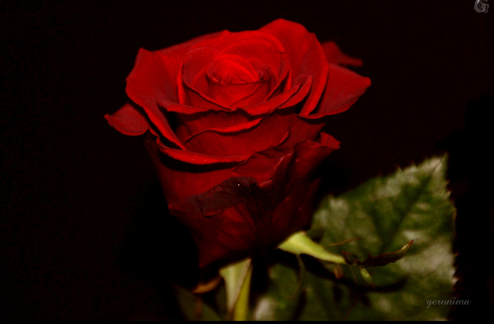 Tapeta sv_valentyn