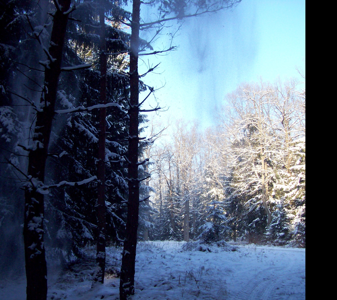 Tapeta svetlo_a_stin