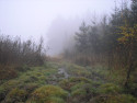 Tapeta Svitavsk podzimn mlha