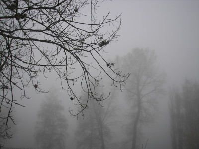 Tapeta: Svitavsk podzimn mlha 04