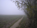 Tapeta Svitavská podzimní mlha 05