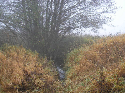Tapeta: Svitavsk podzimn mlha 09