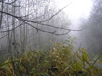 Tapeta: Svitavsk podzimn mlha 30