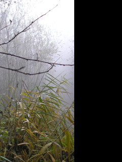 Tapeta svitavska_podzimni_mlha_30