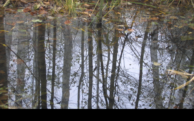Tapeta svitavska_podzimni_mlha_37