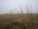 Tapeta Svitavská podzimní mlha 42