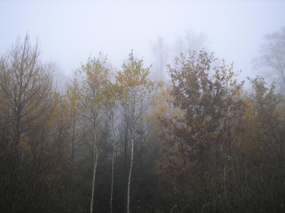 Tapeta: Svitavsk podzimn mlha 43