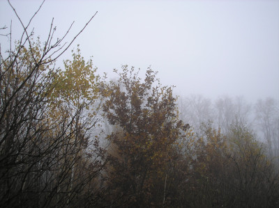 Tapeta: Svitavsk podzimn mlha 44