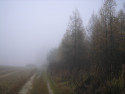 Tapeta Svitavská podzimní mlha 49