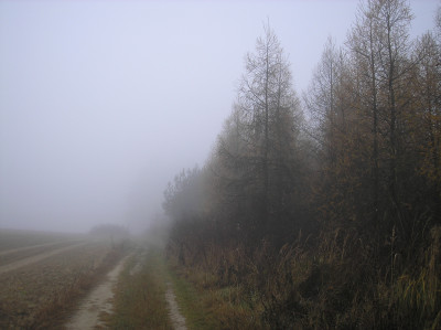 Tapeta: Svitavsk podzimn mlha 49