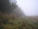 Tapeta Svitavsk podzimn mlha 50