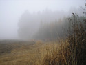 Tapeta Svitavská podzimní mlha 51
