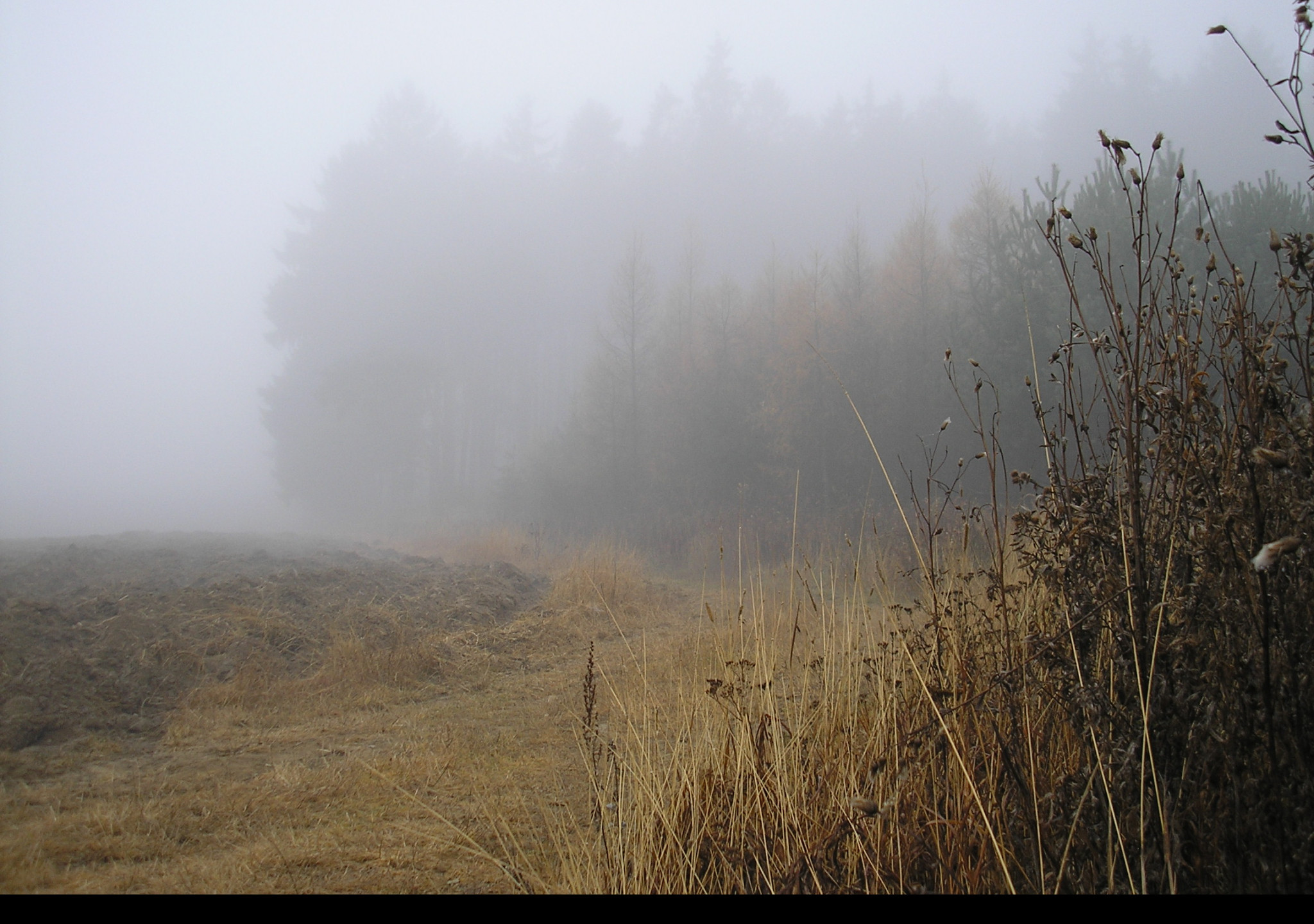 Tapeta svitavska_podzimni_mlha_51