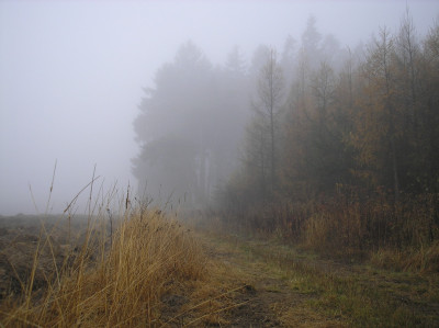 Tapeta: Svitavsk� podzimn� mlha 52