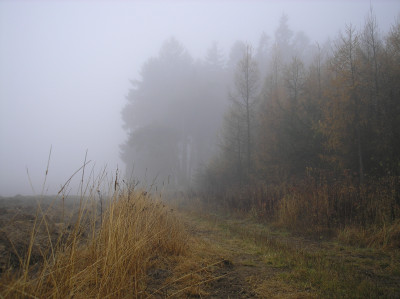 Tapeta: Svitavsk podzimn mlha 52
