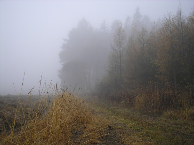 Tapeta svitavska_podzimni_mlha_52