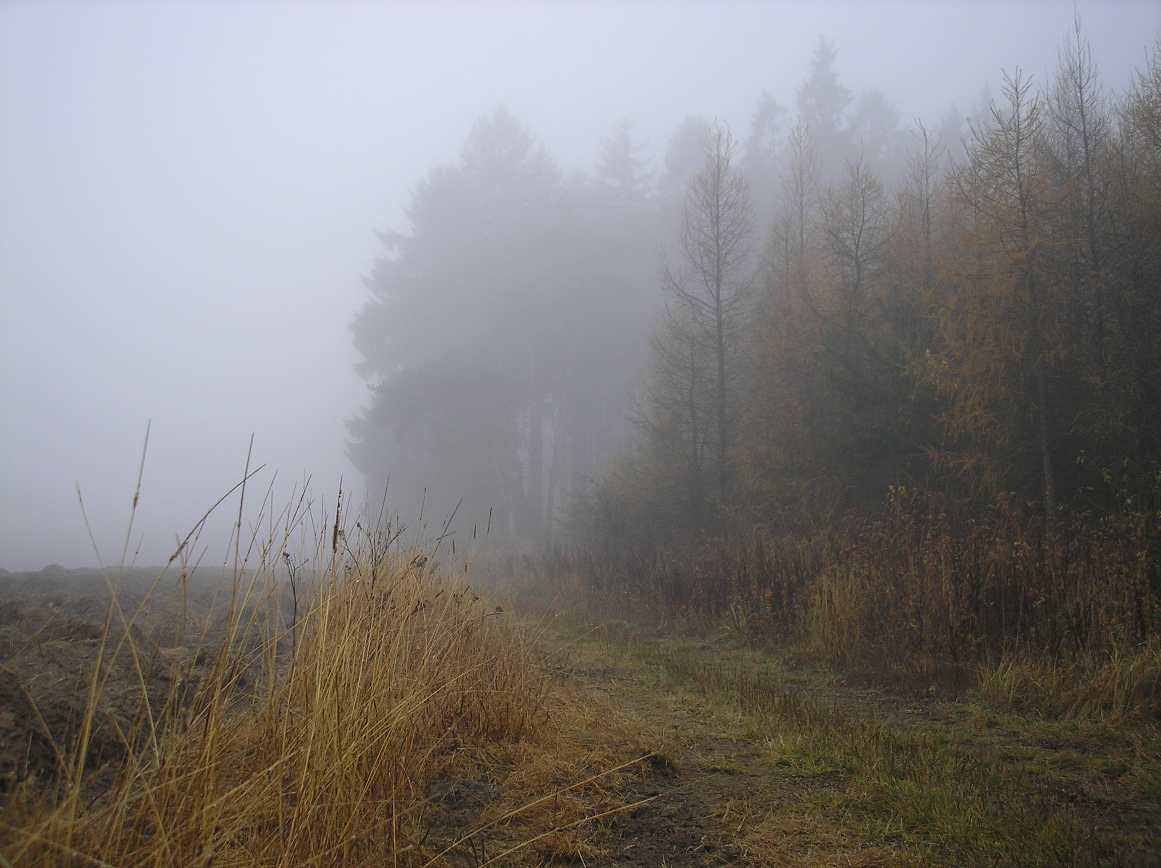 Tapeta svitavska_podzimni_mlha_52